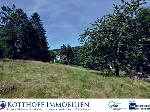 Grundstück zum Kauf 75.000 € 1.003 m² Grundstück Fleckenberg Schmallenberg 57392