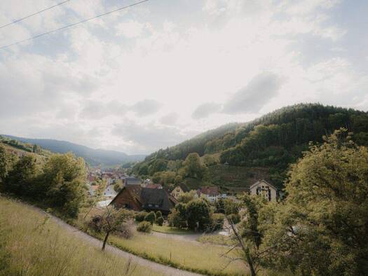 Haus zum Kauf 12 Zimmer Bad Peterstal Bad Peterstal-Griesbach / Bad Griesbach 77740