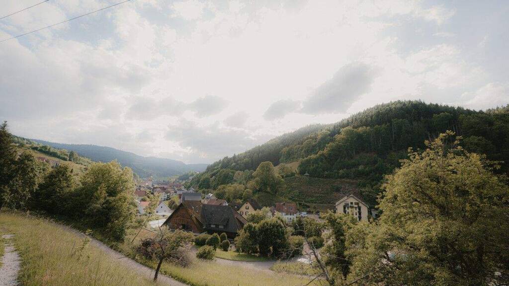 Haus zum Kauf 12 Zimmer Bad Peterstal Bad Peterstal-Griesbach / Bad Griesbach 77740