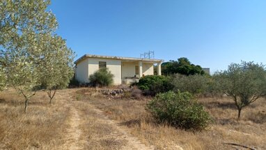 Bauernhaus zum Kauf 320.000 € 3 Zimmer 80 m² 70.000 m² Grundstück Onifai - SARDINIEN