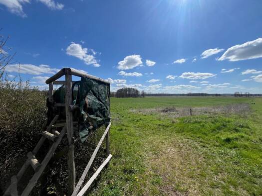 Land-/Forstwirtschaft zum Kauf 750.000 m² Grundstück Kobande Demen 19089
