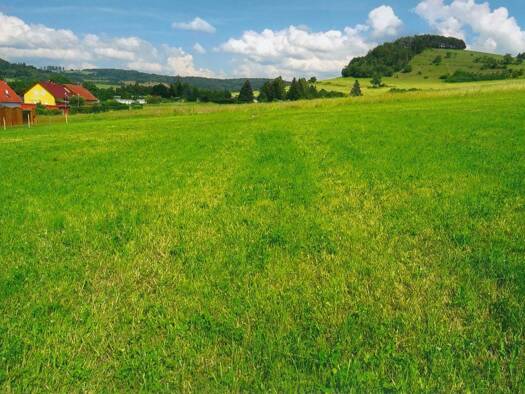 Grundstück zum Kauf 35.000 € 5.951 m² Grundstück frei ab sofort Kaltennordheim Kaltennordheim 36452