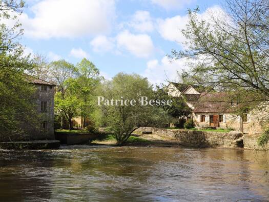 Reihenmittelhaus zum Kauf 845.000 € 13 Zimmer 740 m² 16.586 m² Grundstück Trois Quartiers-Centre Ville Poitiers 86000