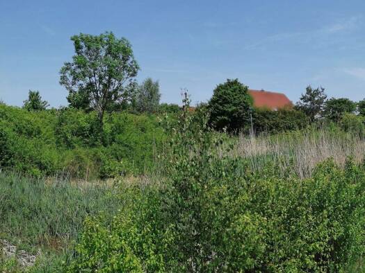 Grundstück zum Kauf 205.000 € 1.174 m² Grundstück frei ab sofort Finkenweg 10 Schönbrunn Schönbrunn i.Steigerwald 96185