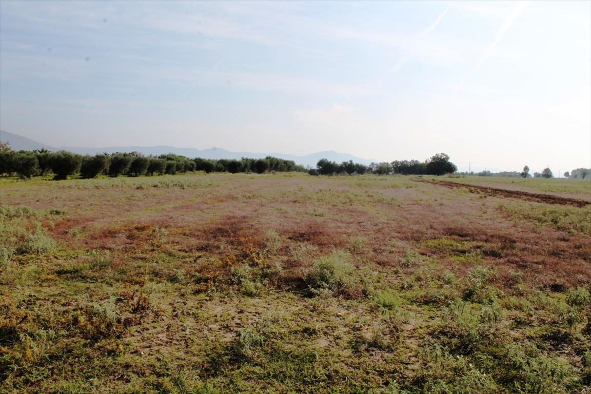 Land-/Forstwirtschaft zum Kauf 1.100.000 € 11.600 m²<br/>Grundstück Thessaloniki