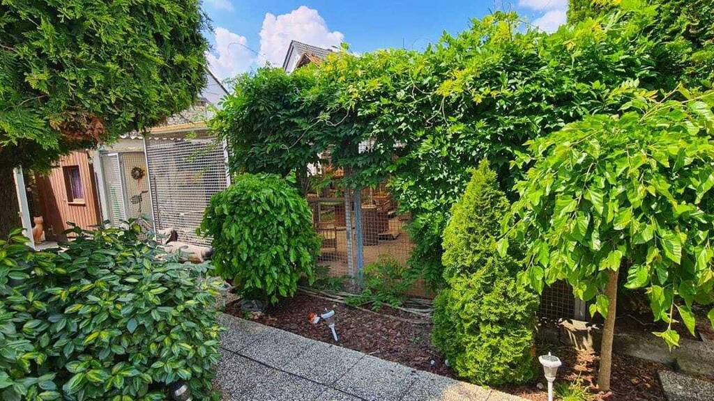 Praxis zum Kauf 650.000 € 5 Zimmer 176 m² Bürofläche Bauschheim Rüsselsheim am Main 65428