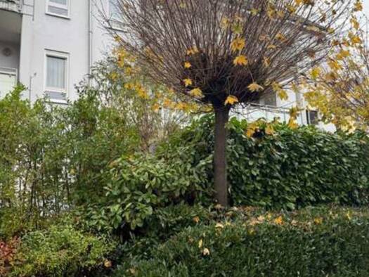 Wohnung zur Miete 950 € 2 Zimmer 60 m² Geschoss EG/4 frei ab sofort Tumringen Lörrach 79539