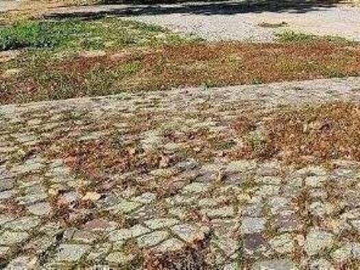 Grundstück zum Kauf 12.000 € 400 m² Grundstück Saalfeld Klötze 38486