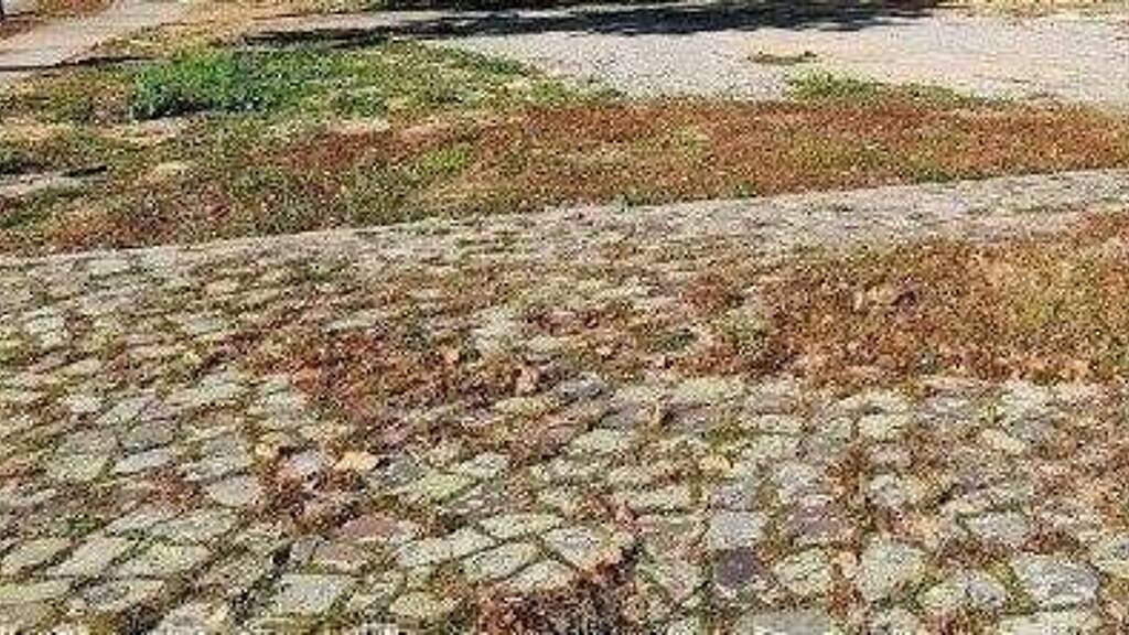 Grundstück zum Kauf 12.000 € 400 m² Grundstück Saalfeld Klötze 38486