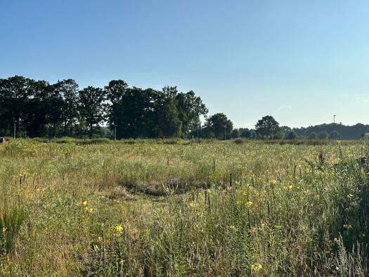 Gewerbegrundstück zum Kauf provisionsfrei 9.293 m² Grundstück frei ab sofort Bundesstraße 209 Brietlingen 21382