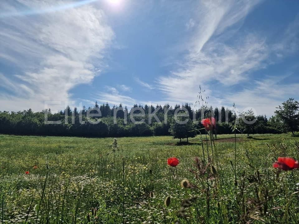 Land-/Forstwirtschaft zum Kauf 103.000 € Markovici