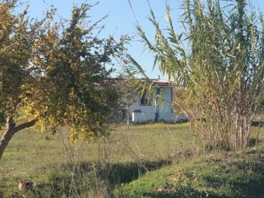 Bauernhaus zum Kauf 43.000 € 3 Zimmer 80 m² 8.000 m² Grundstück Rociana del Condado 21720