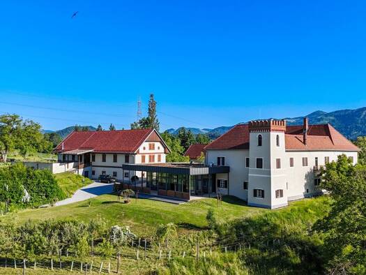Schloss zum Kauf 7.950.000 € 950 m² 206.745 m² Grundstück Völkermarkt 9100