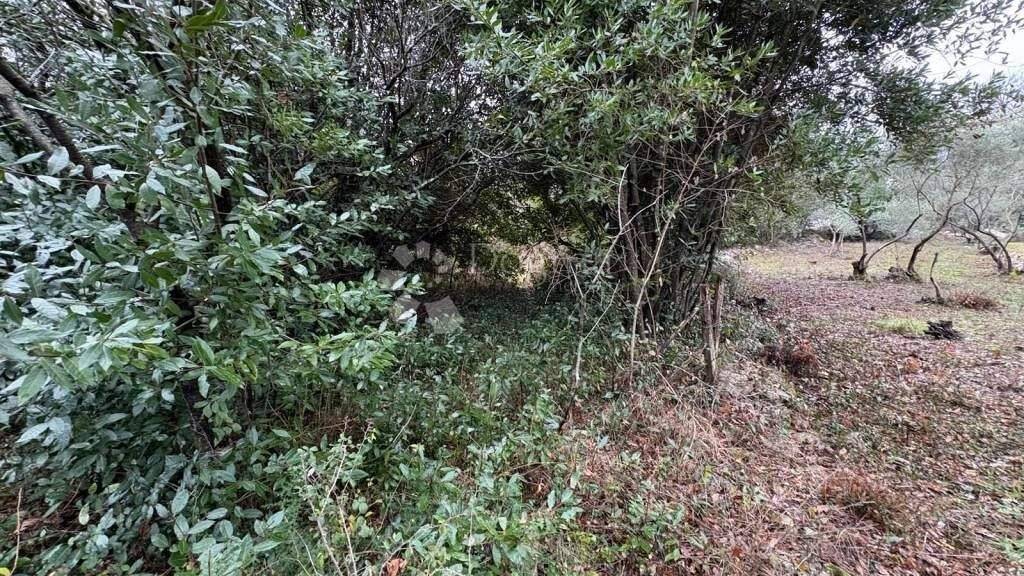 Land-/Forstwirtschaft zum Kauf 325.000 € Dobrinj