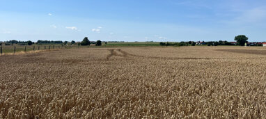 Land-/Forstwirtschaft zum Kauf 295.000 € Großenhain Großenhain 01558