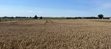 Land-/Forstwirtschaft zum Kauf 295.000 € Großenhain Großenhain 01558