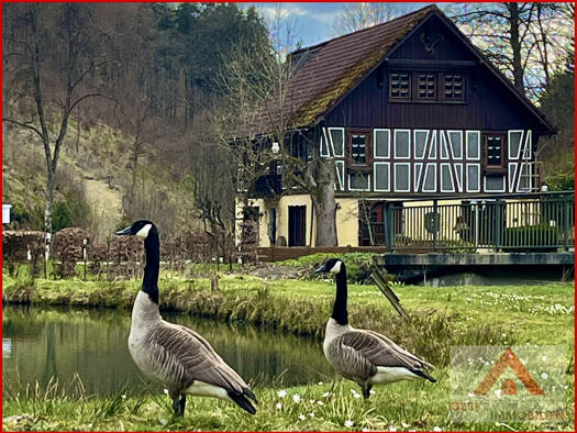 Einfamilienhaus zum Kauf 9 Zimmer 280 m² 10.603 m² Grundstück Neuastenberg Winterberg 59955