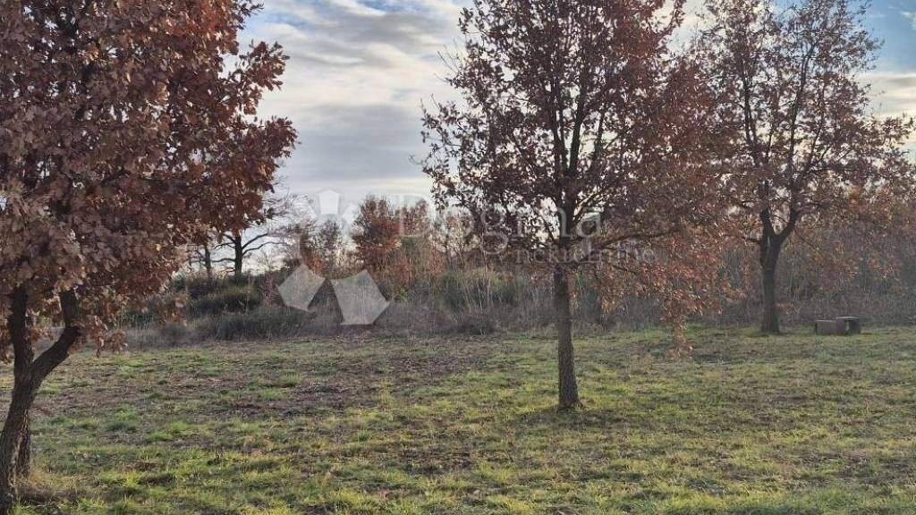 Land-/Forstwirtschaft zum Kauf 134.880 € Centar, Loborika