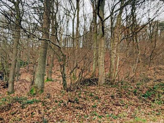 Grundstück zum Kauf 50.000 € 2.100 m² Grundstück Rosbach Windeck 51570