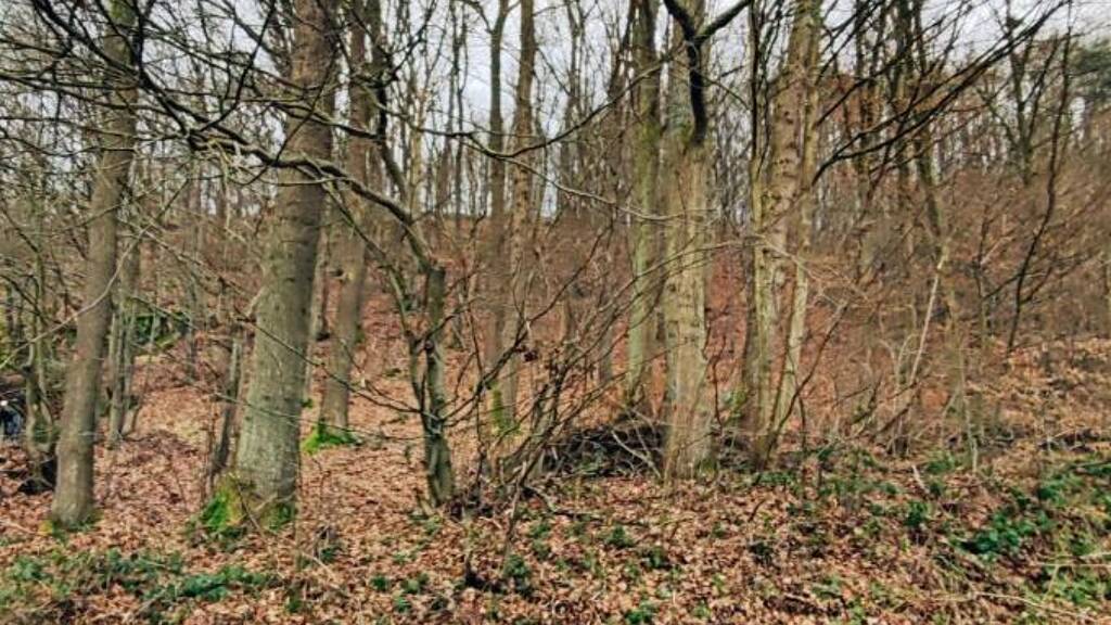 Grundstück zum Kauf 50.000 € 2.100 m² Grundstück Rosbach Windeck 51570