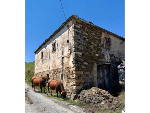 Bauernhaus zum Kauf 79.000 € 3 Zimmer 166 m² 45.000 m² Grundstück barreiro 3 Tineo 33873