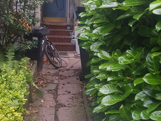 Studio zur Miete auf Zeit 400 € 1 Zimmer 30 m² Friedrichstrasse 106a Schleswig 24837