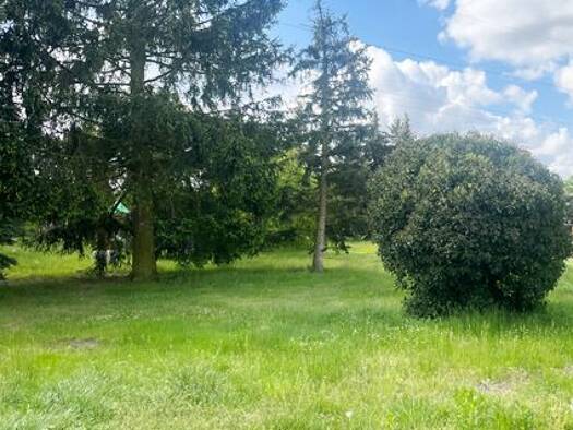 Einfamilienhaus zum Kauf 110.000 € 4 Zimmer 111 m² 2.310 m² Grundstück Tröbitz 03253