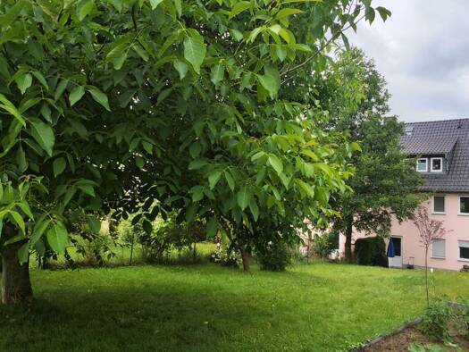 Doppelhaushälfte zur Miete 965 € 4 Zimmer 108 m² 700 m² Grundstück frei ab 01.12.2026 Rennersdorf-Neudörfel Stolpen 01833