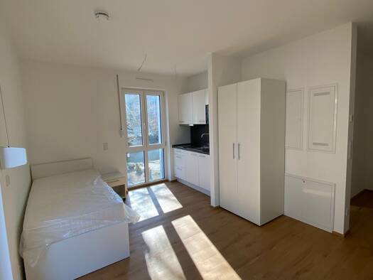 Studio zur Miete 1.060 € 1 Zimmer 29,2 m² Geschoss 1/4 frei ab 15.03.2026 Wiesenstraße 11 Gesundbrunnen Berlin 13357