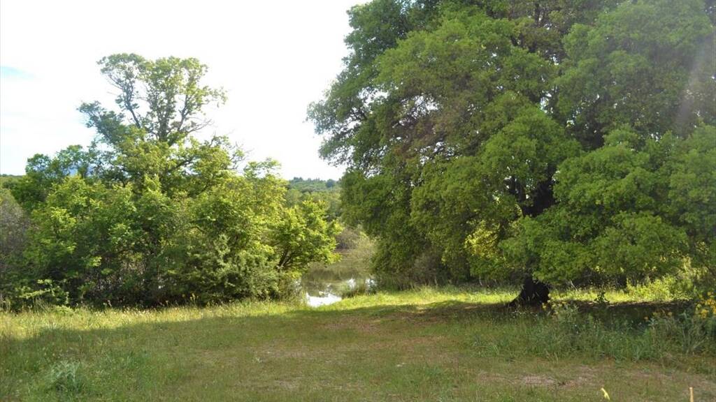 Land-/Forstwirtschaft zum Kauf 900.000 € 72.000 m² Grundstück Korfu