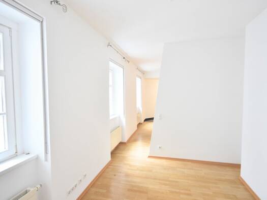 Wohnung zur Miete 1.231 € 1,5 Zimmer 59,5 m² 4. Geschoss Wien 1010