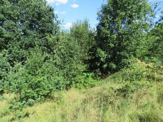 Grundstück zum Kauf 95.000 € 744 m² Grundstück frei ab sofort Viechtach Viechtach 94234