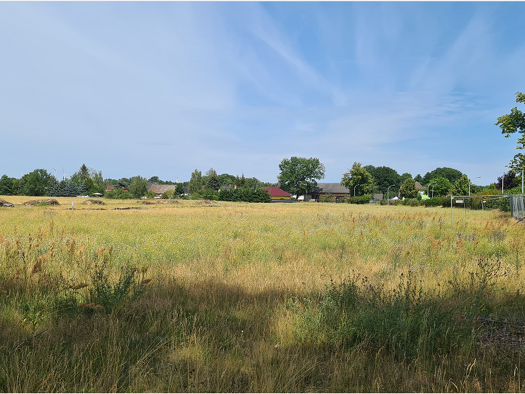 Bungalow zum Kauf provisionsfrei 279.900 € 92 m² 763 m² Grundstück frei ab sofort Freiwalde Schönwald 15910