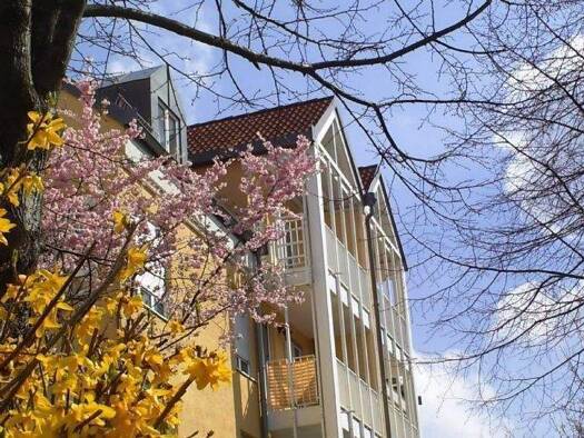 Wohnung zur Miete 380 € 2 Zimmer 45,7 m² 2. Geschoss frei ab sofort Zum Heiderand Weißig Dresden 01328