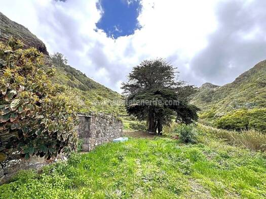 Wohn- und Gewerbegrundstück zum Kauf 320.000 € Buenavista del Norte 38489