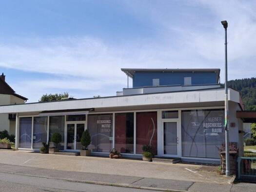 Ladenfläche zum Kauf 220.000 € 122 m² Verkaufsfläche Eberbach 69412