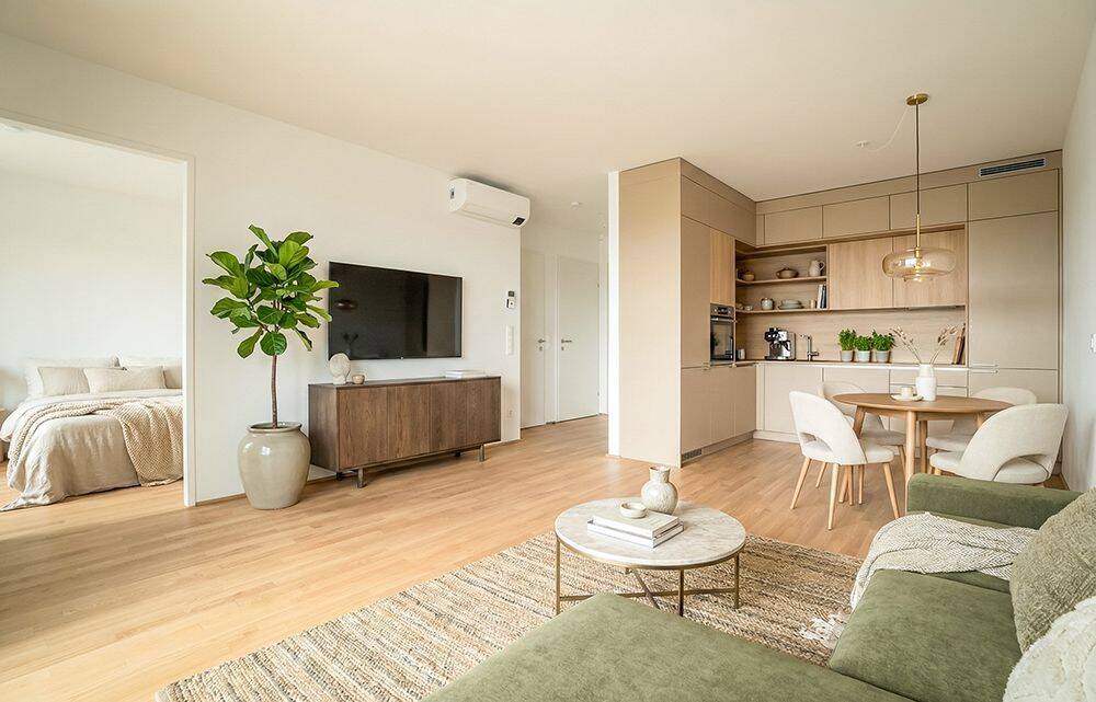1-bed apartment, 46 m²