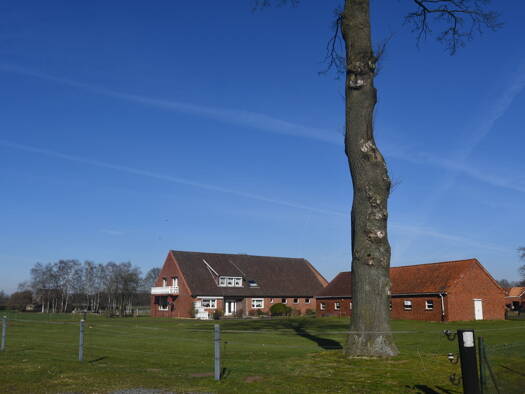 Bauernhaus zum Kauf 625.000 € 7 Zimmer 270 m² 11.510 m² Grundstück Barnstorf / Dreeke 49406