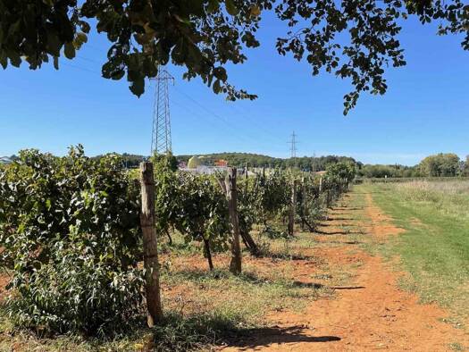 Gewerbegrundstück zum Kauf 586.000 € Poreč 52440