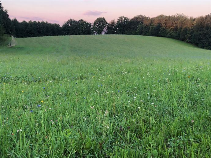 Grundstück zum Kauf Wühr Pfarrkirchen 84347