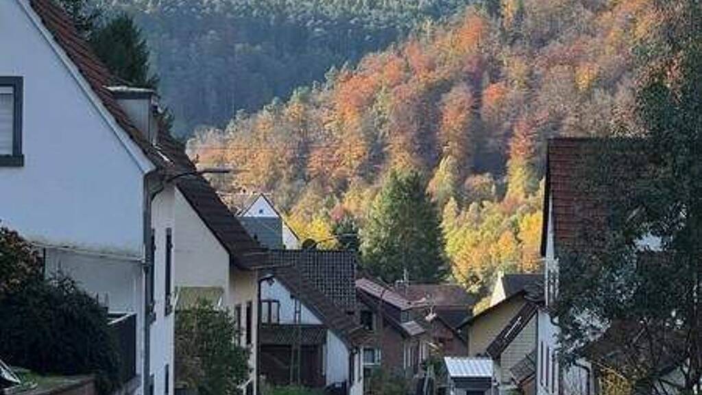 Wohnung zum Kauf 180.000 € 4 Zimmer 97 m² Neidenfels 67468