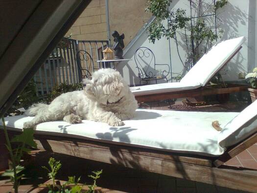 Wohnung zur Miete 1.940 € 3 Zimmer 95 m² frei ab 01.12.2025 Mitte Berlin 10119