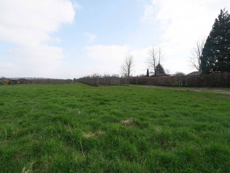 Grundstück zum Kauf 240.000 € 1.273 m² Grundstück Haselau 25489