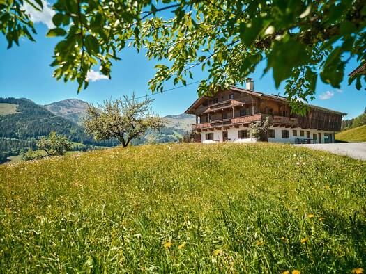 Einfamilienhaus zum Kauf 1.885 m² Grundstück Kirchberg in Tirol 6365