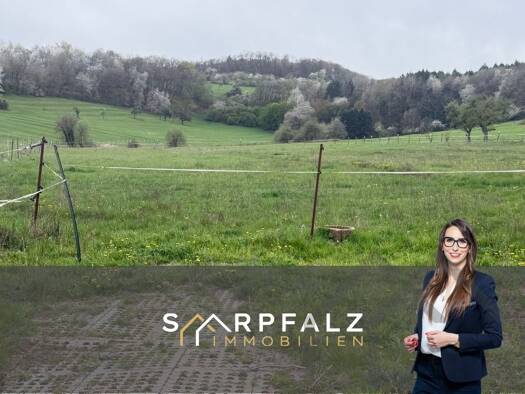 Einfamilienhaus zum Kauf 129.000 € 6 Zimmer 127 m² 7.174 m² Grundstück Wahnwegen 66909