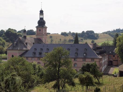 Herrenhaus zum Kauf provisionsfrei 4.400 m² 35.769 m² Grundstück Karmelitenstraße Springiersbach Bengel 54538