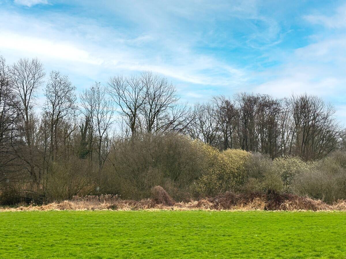 Landwirtschaftliche Fläche zum Kauf - Ansicht 5