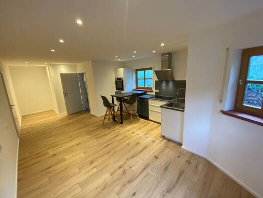 Wohnung zur Miete 390 € 1 Zimmer 35 m² frei ab 01.04.2026 Buttendorf Roßtal 90574