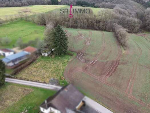 Grundstück zum Kauf 55.000 € 805 m² Grundstück Niedergeckler 54675