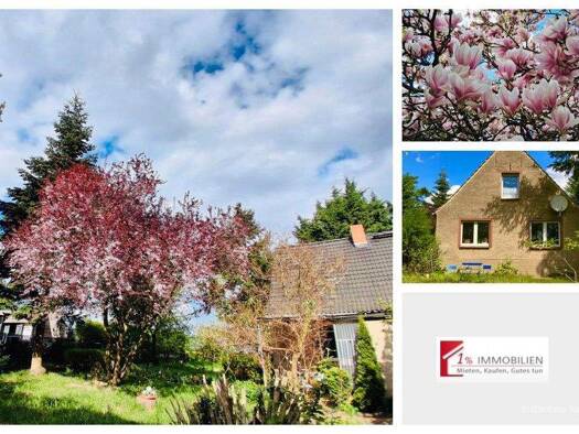 Einfamilienhaus zum Kauf 209.000 € 9 Zimmer 204,6 m² 3.945 m² Grundstück Gribow 17506